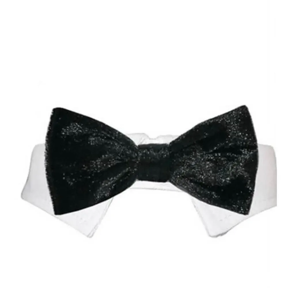 Pooch outfitters black Valentino bow tie
